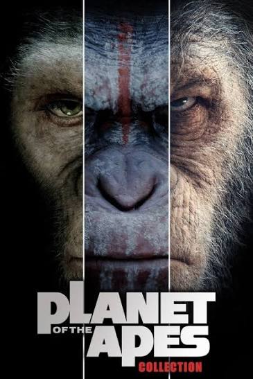 Featured image of post Kingdom of the Planet of the Apes - Reflection